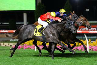 Global Exchange (Dundeel) winning his second consecutive Group 2 race.